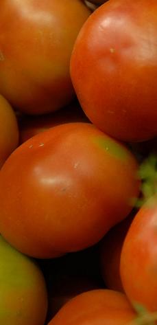 Tomates